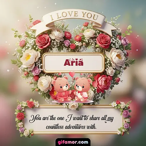 I Love You X Aria
