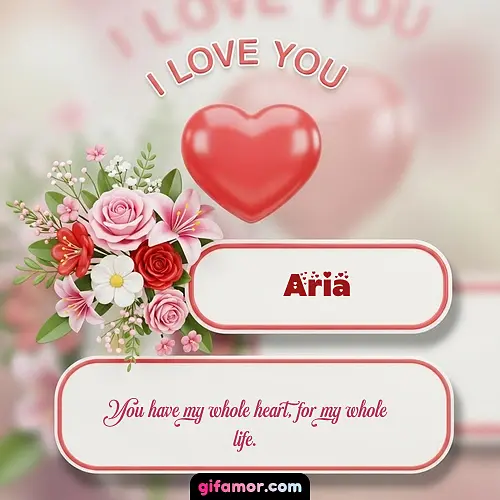 Aria