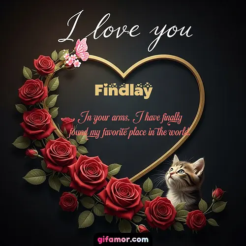 Findlay