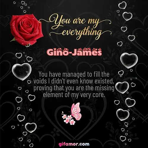 Gino-James