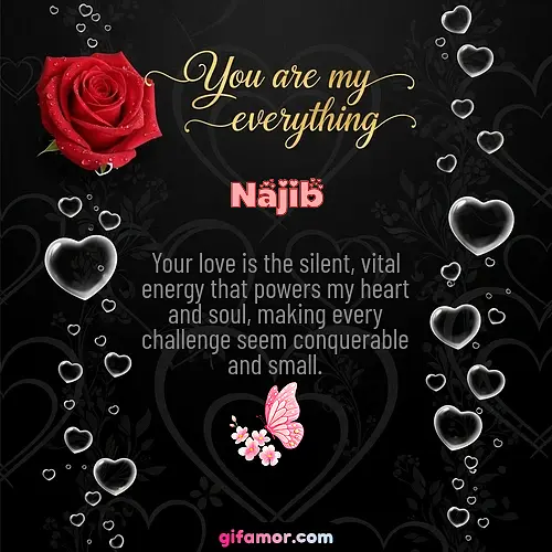Najib