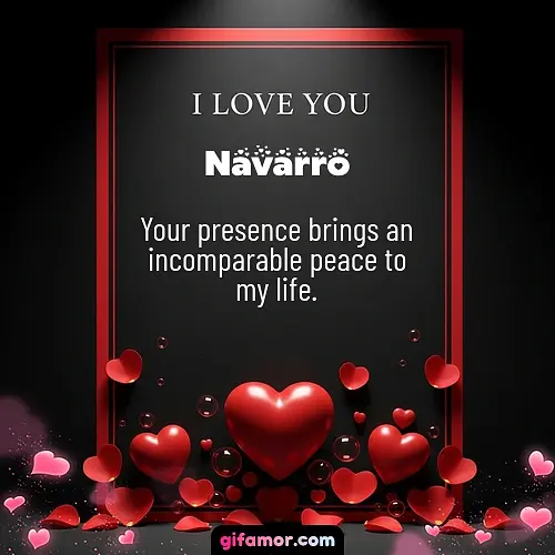 Navarro