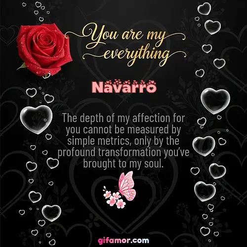 Navarro