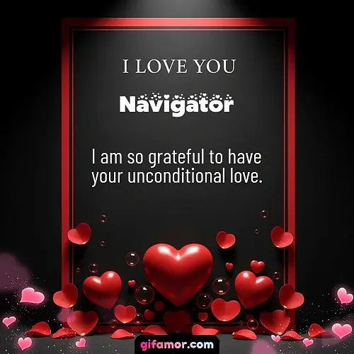 Navigator