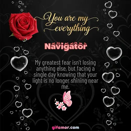 Navigator
