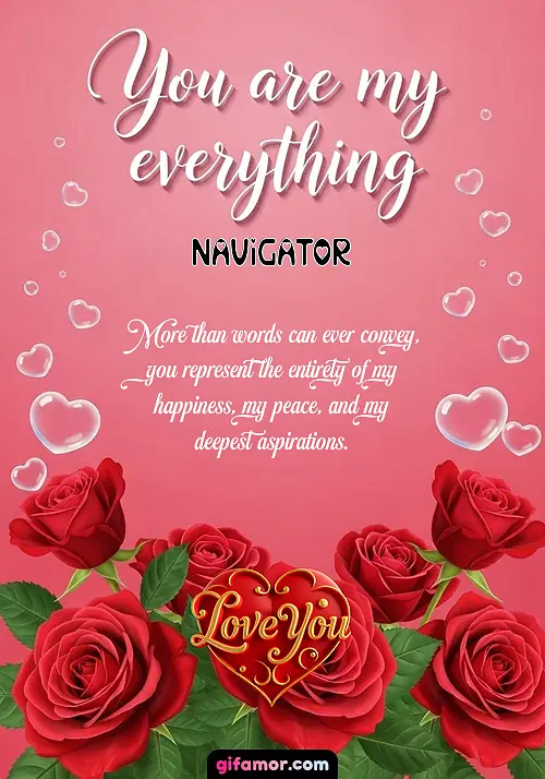 Navigator