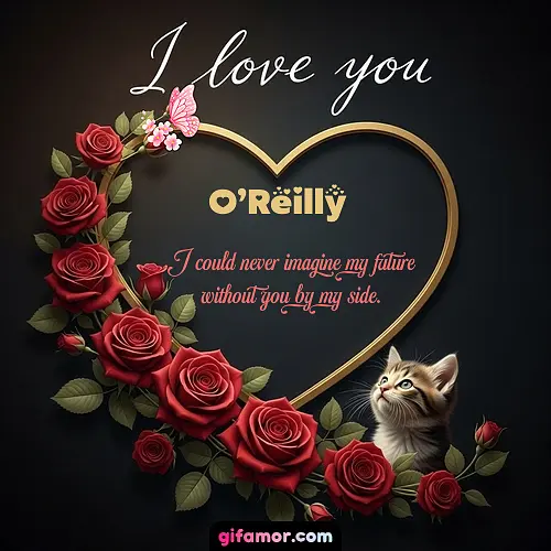 O’Reilly