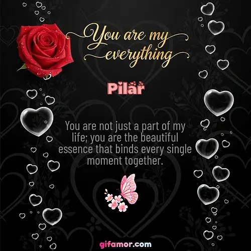 You are not just a part of my life; you are the beautiful essence that binds every single moment together.