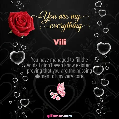 Vili