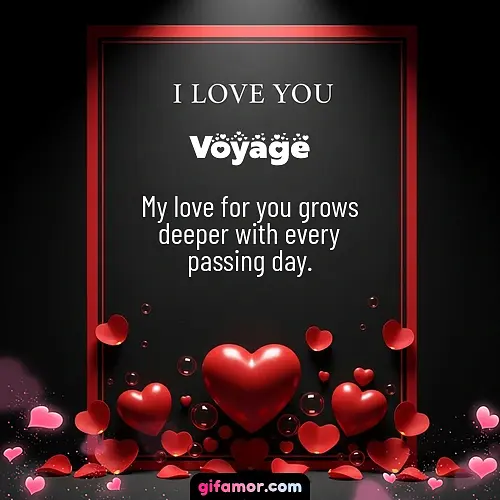 Voyage