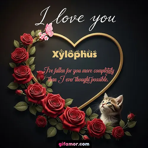 Xylophus