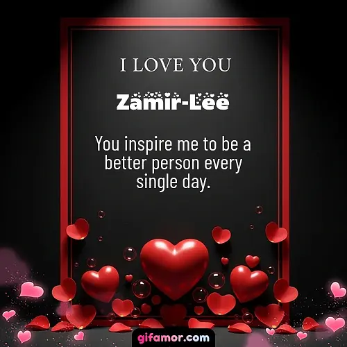 Zamir-Lee